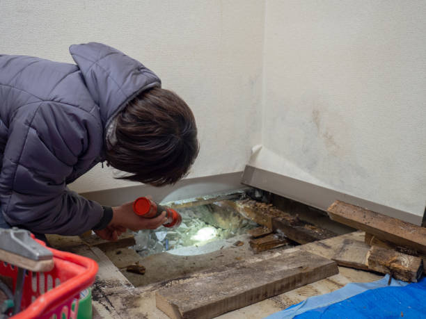 Best Comprehensive Air Testing for Mold Contaminants  in Falling Waters, WV