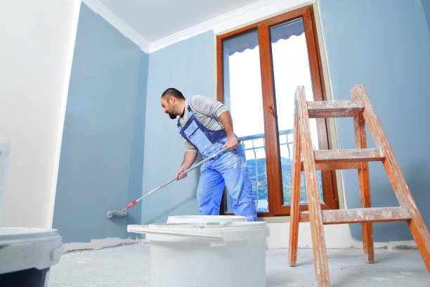 Falling Waters, WV Mold Removal Company
