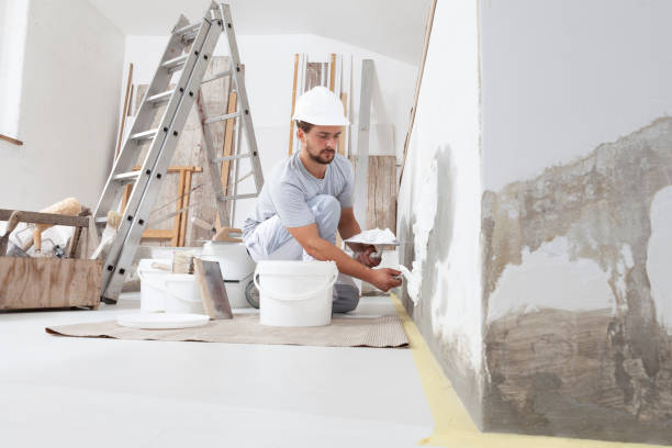 Best Mold Documentation for Insurance Claims  in Falling Waters, WV