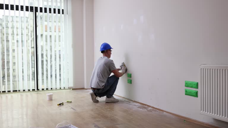 Best Post-Construction Mold Inspection  in Falling Waters, WV