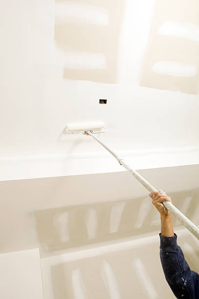 Best Mold Odor Removal Services  in Falling Waters, WV