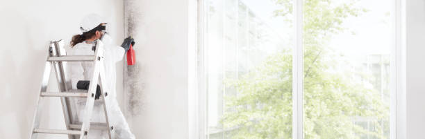  Falling Waters, WV Mold Removal Pros