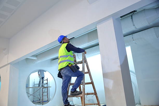 Best Asbestos and Lead Testing During Mold Inspection  in Falling Waters, WV